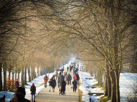 vienna lainzer tiergarten.